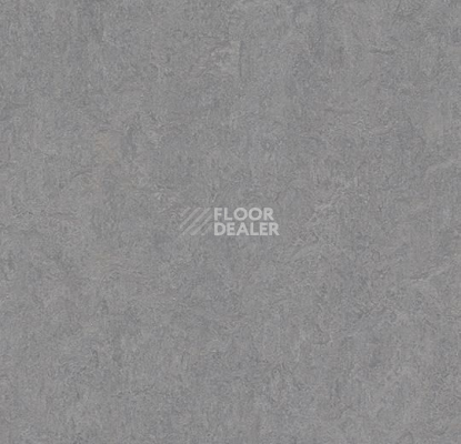 Линолеум Forbo Marmoleum Decibel on Order 386635 eternity фото 1 | FLOORDEALER